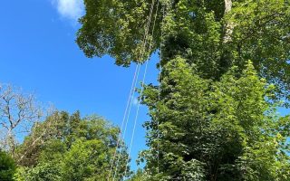 WhatsApp Image 2025-11-06 at 16.24.01