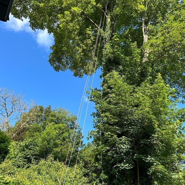 WhatsApp Image 2025-11-06 at 16.24.01